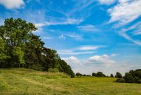 Summer Sunset Free Stock Photo - Public Domain Pictures Summer Sunset Free Stock Photo - Public Domain Pictures